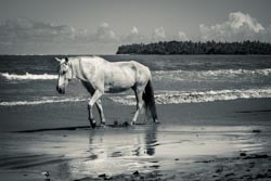 Photo taken by Paulo Bittencourt, freethinker, humanist and atheist