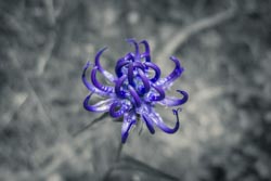 Photo taken by Paulo Bittencourt, freethinker, humanist and atheist