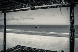 Photo taken by Paulo Bittencourt, freethinker, humanist and atheist