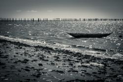 Photo taken by Paulo Bittencourt, freethinker, humanist and atheist