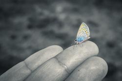 Photo taken by Paulo Bittencourt, freethinker, humanist and atheist