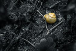 Photo taken by Paulo Bittencourt, freethinker, humanist and atheist