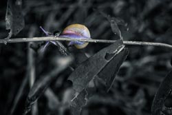 Photo taken by Paulo Bittencourt, freethinker, humanist and atheist